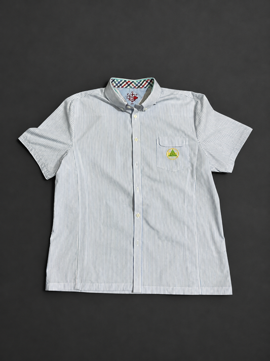 Blue Stripped Shirt